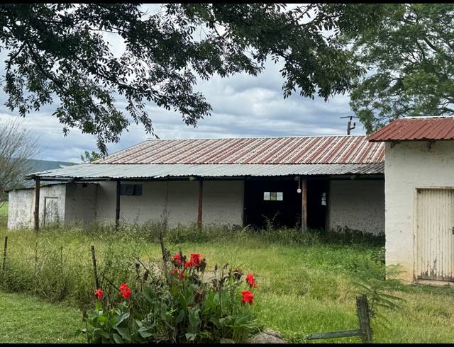 18HA FARM FOR SALE IN WEENEN